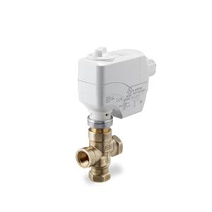 261-02076 Siemens Valve Assembly