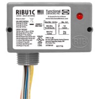 RIBU1C Functional Devices Enclosed Relay