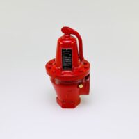 110081 Bell & Gossett Valve